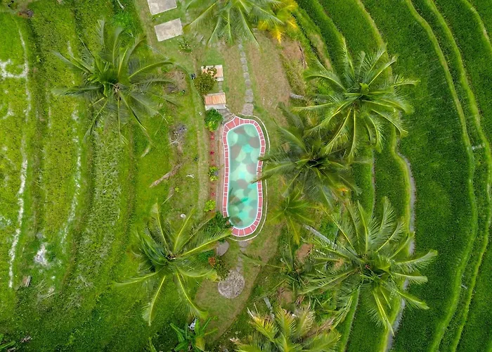 Pesona Bali Ecolodge By Agata