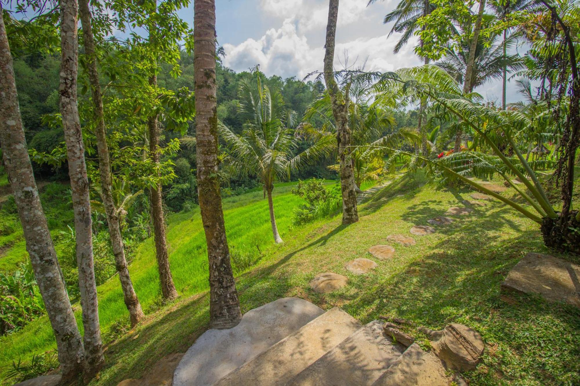 Lodge Pesona Bali By Agata Jatiluwih
