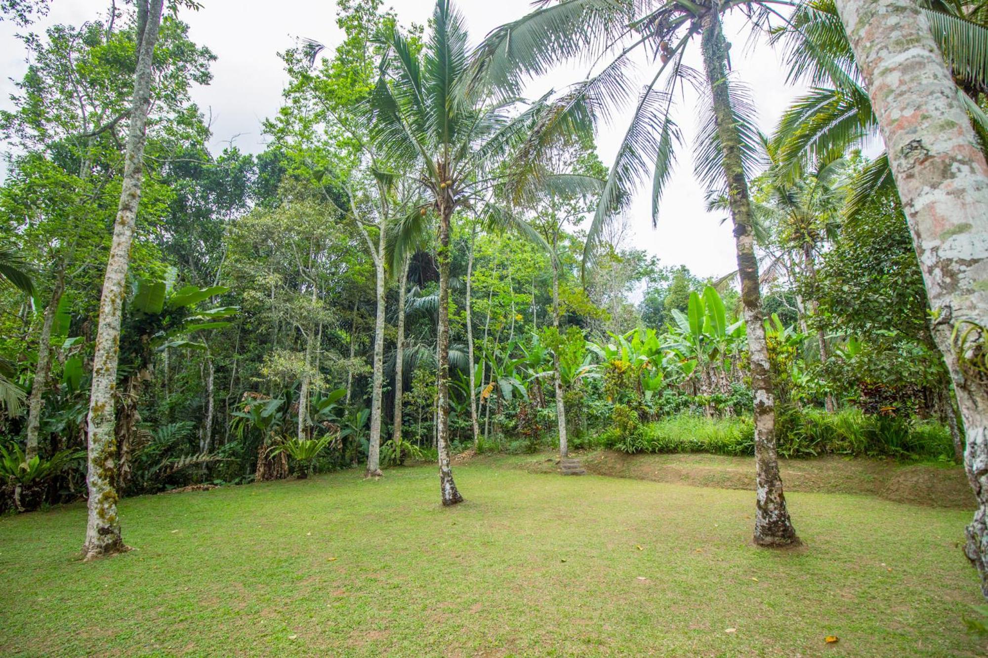 Pesona Bali By Agata Lodge Jatiluwih